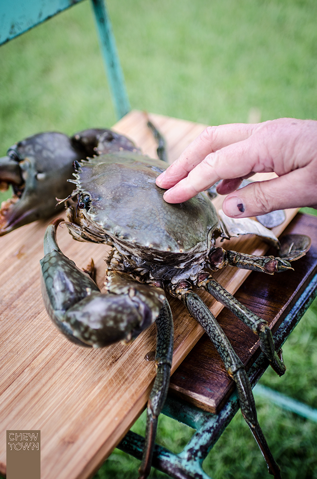 4-Ingredient Salt and Pepper Mud Crabs | Chew Town Food Blog