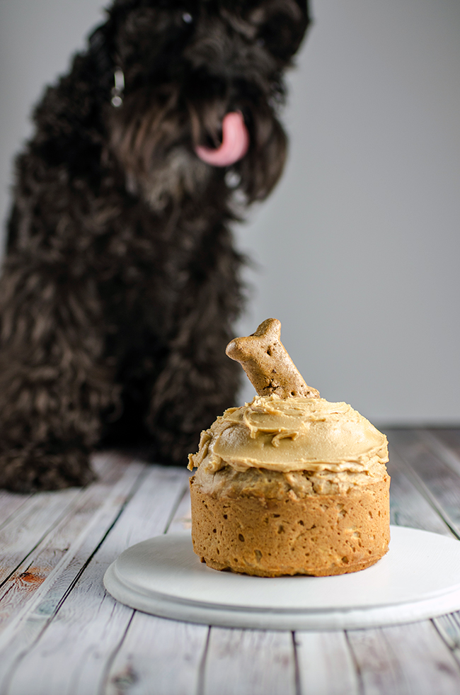 Peanut Butter and Apple Pupcake | Chew Town Food Blog