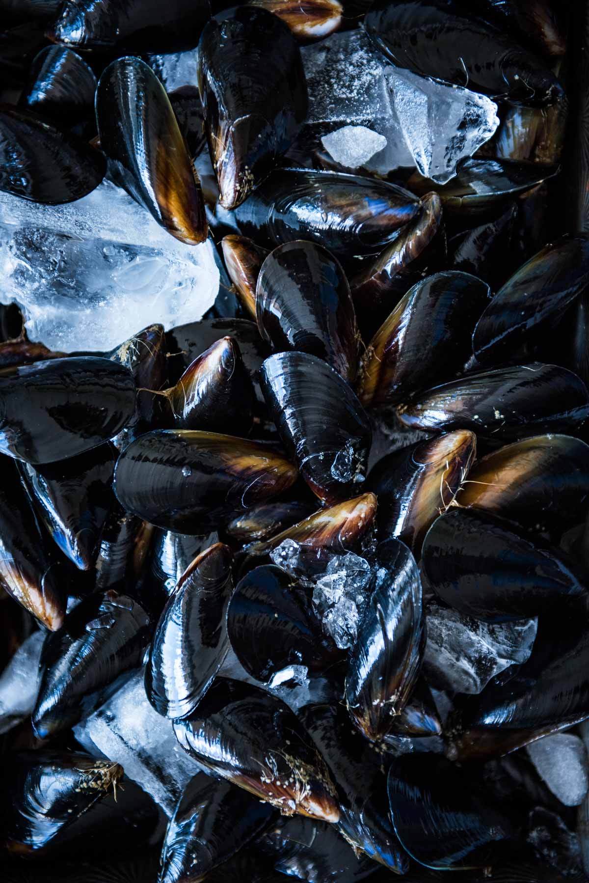Butter and White Wine Mussels with Lemon and Snow Pea Sprouts | Chew Town Food Blog
