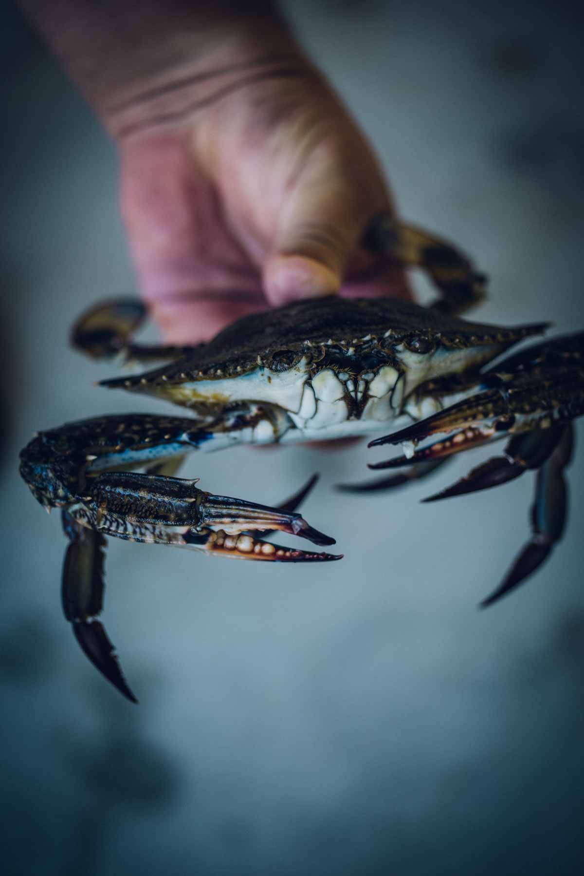 BBlue Swimmer Crabs | Chew Town Food Blog
