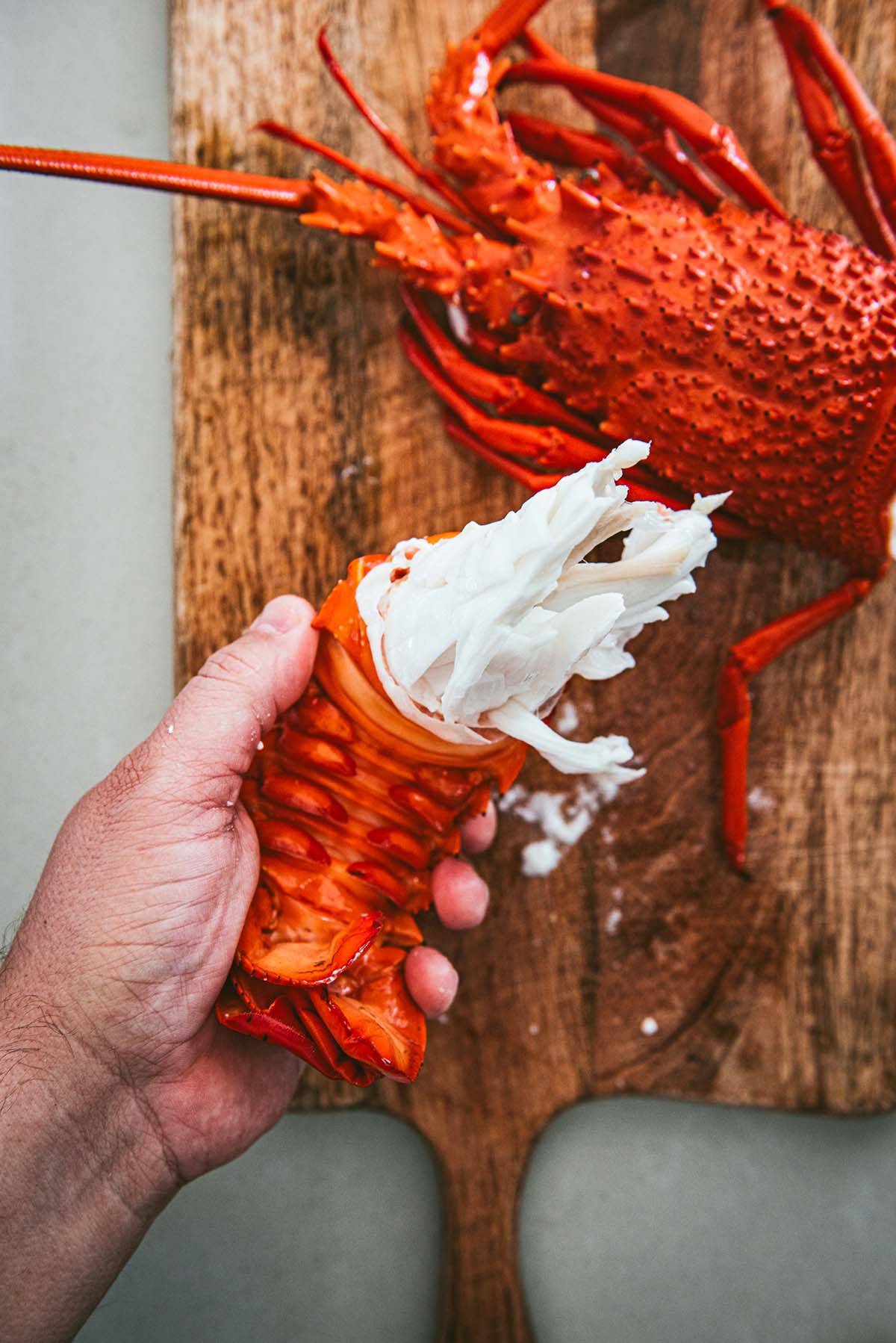 Lobster Rolls | Chew Town Food Blog